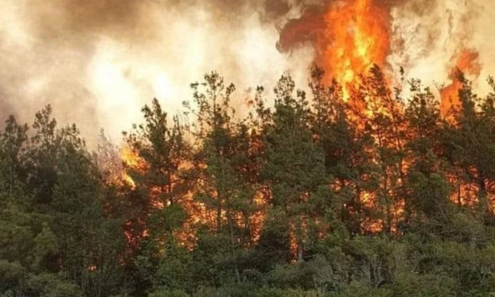 Ζάκυνθος: Χωρίς ενεργό μέτωπο η φωτιά - Πληροφορίες για τραυματία πυροσβέστη